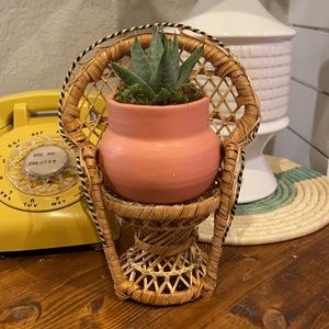 Mini peacock wicker doll chair or plant stand